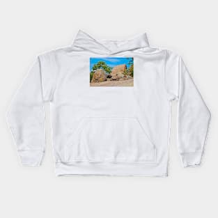 Elephant Rocks Study 3 Kids Hoodie